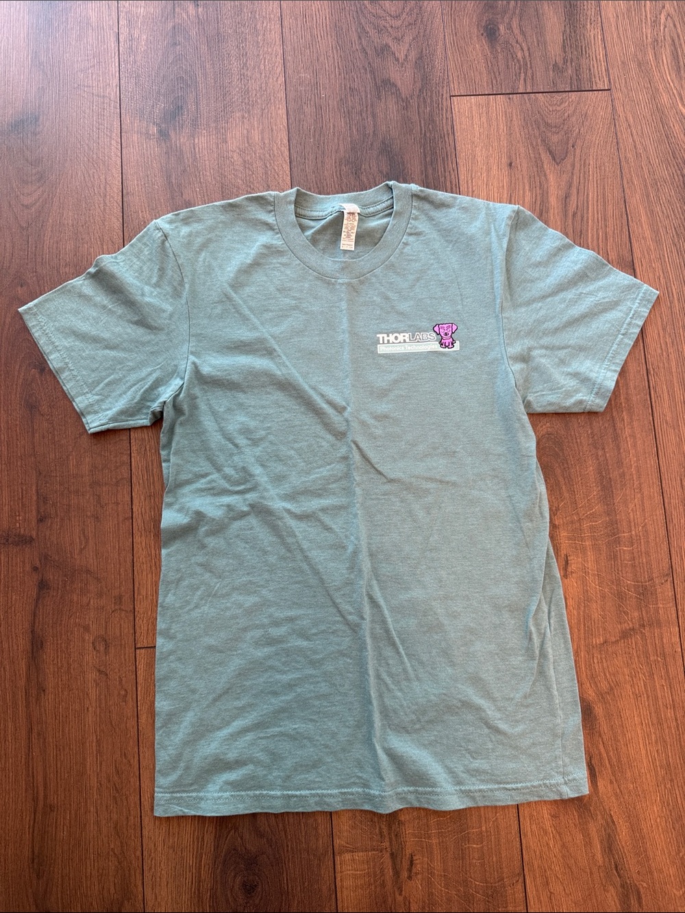 Women's Short Sleeve Tee in Sage Green